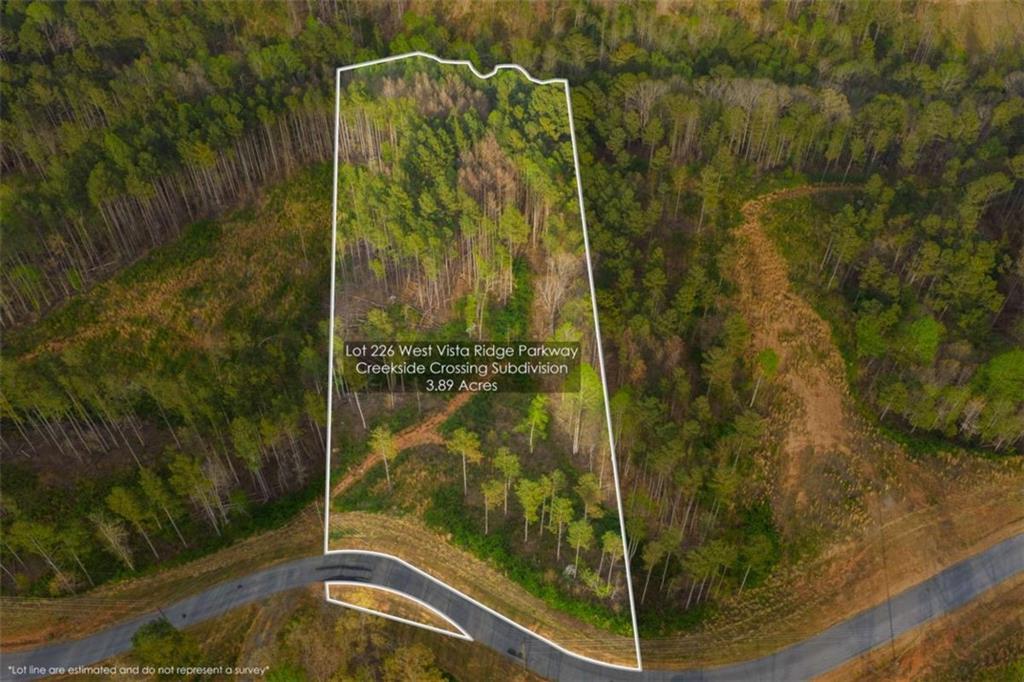 226 West Vista Ridge Parkway Talking Rock, GA 30175 - Photo 3 of 25