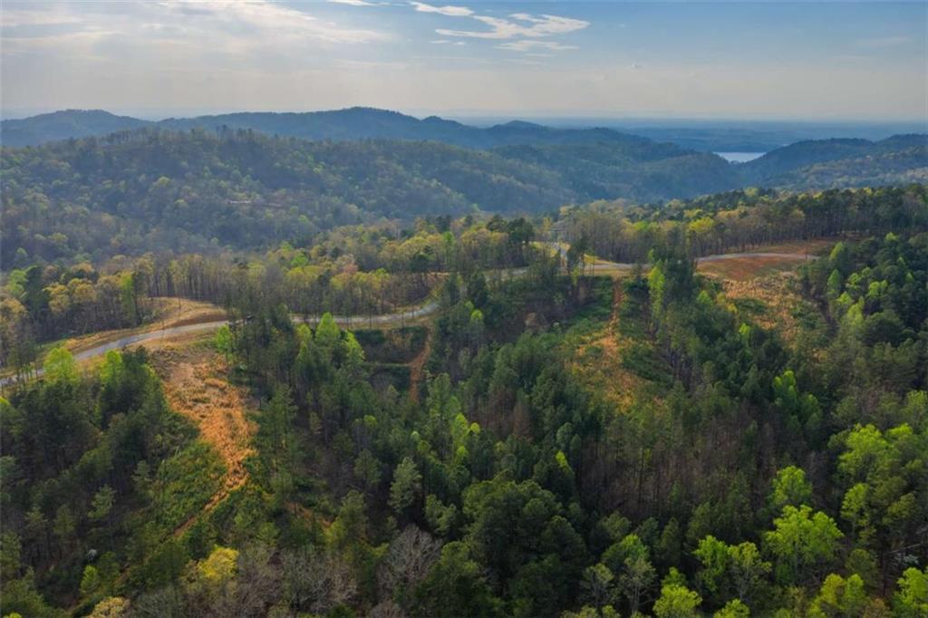 226 West Vista Ridge Parkway Talking Rock, GA 30175 - Photo 4 of 25