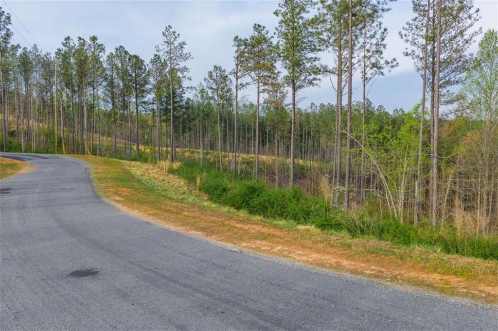 226 West Vista Ridge Parkway Talking Rock, GA 30175 - Photo 6 of 25