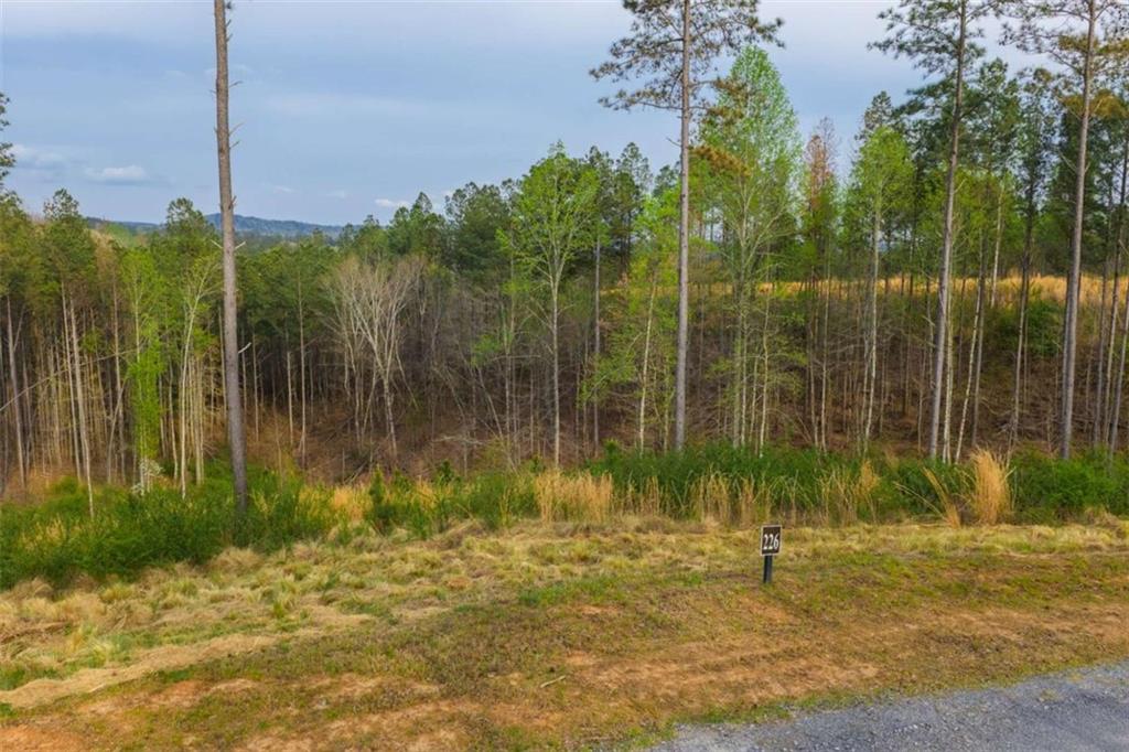 226 West Vista Ridge Parkway Talking Rock, GA 30175 - Photo 7 of 25