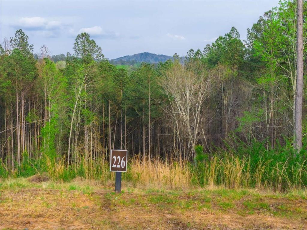 226 West Vista Ridge Parkway Talking Rock, GA 30175 - Photo 8 of 25