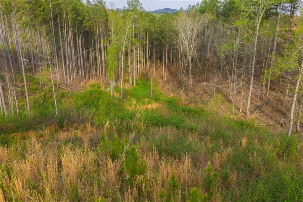 226 West Vista Ridge Parkway Talking Rock, GA 30175 - Photo 9 of 25