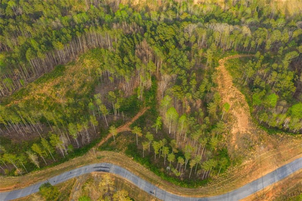 226 West Vista Ridge Parkway Talking Rock, GA 30175 - Photo 10 of 25