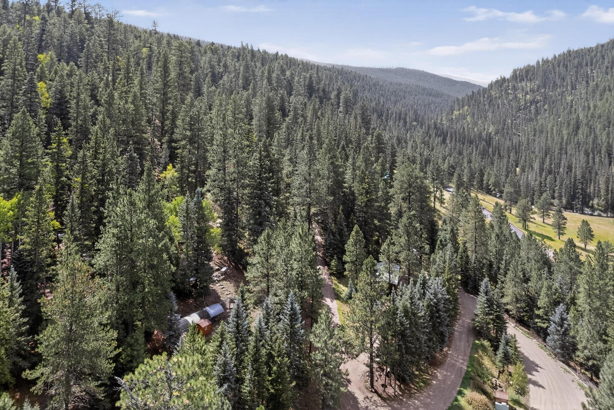 2444 Highway 63 Tererro, NM 87573 - Photo 97 of 98