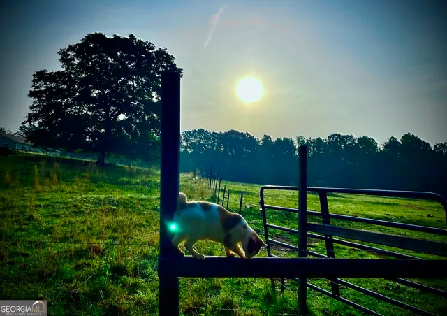 $699,000 | 1911 Ellis Road, Hogansville, GA 30230