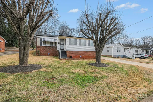 a view of a yard with a house and a large tree