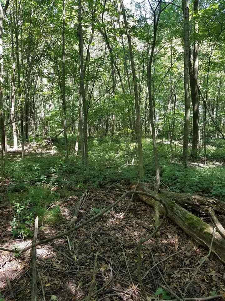 16000 Lortie Road Monroeville, IN 46773 - Photo 2 of 2