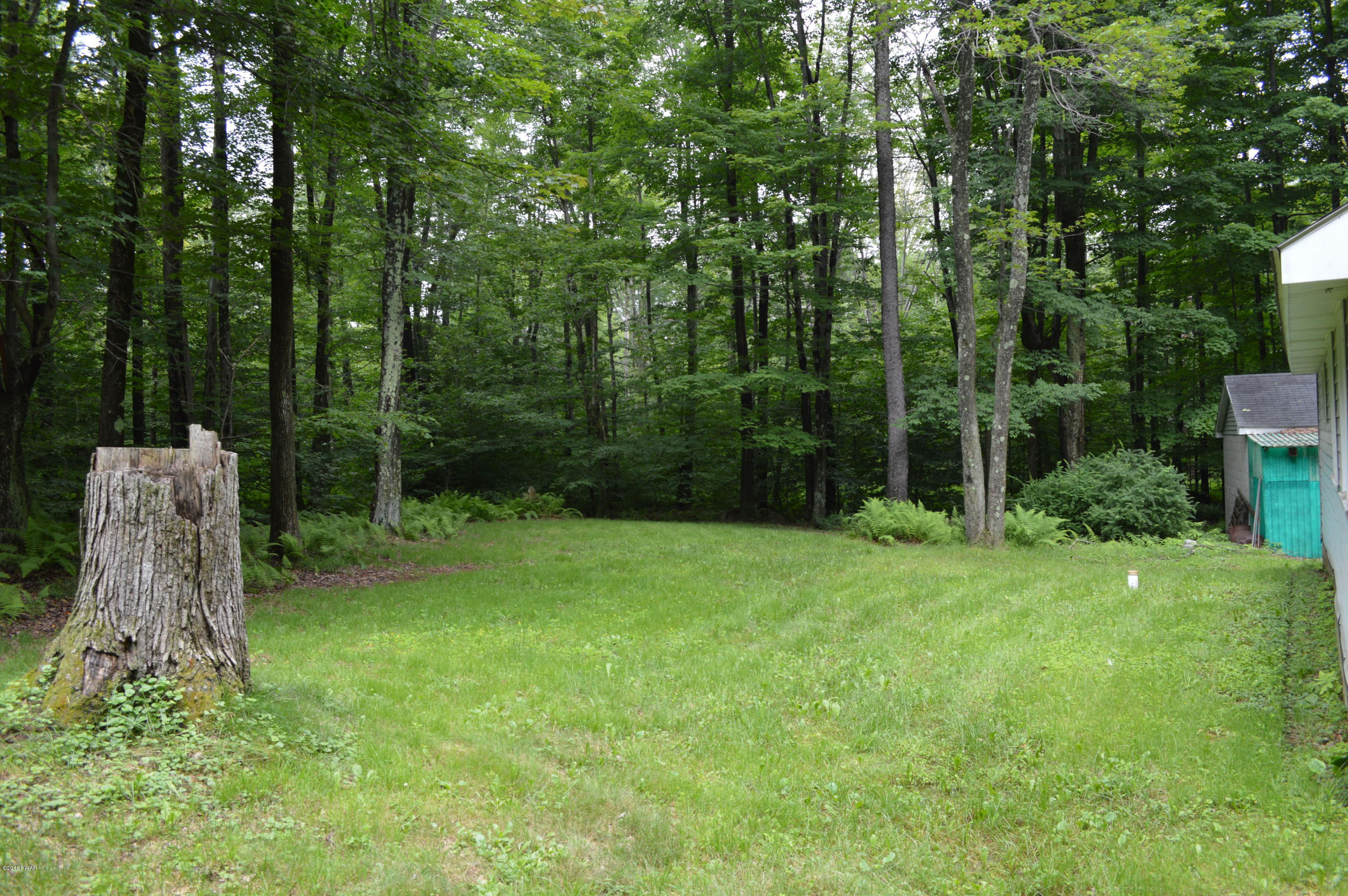 126 Huckleberry Road Newfoundland, PA 18445 - Photo 11 of 18 back yard
