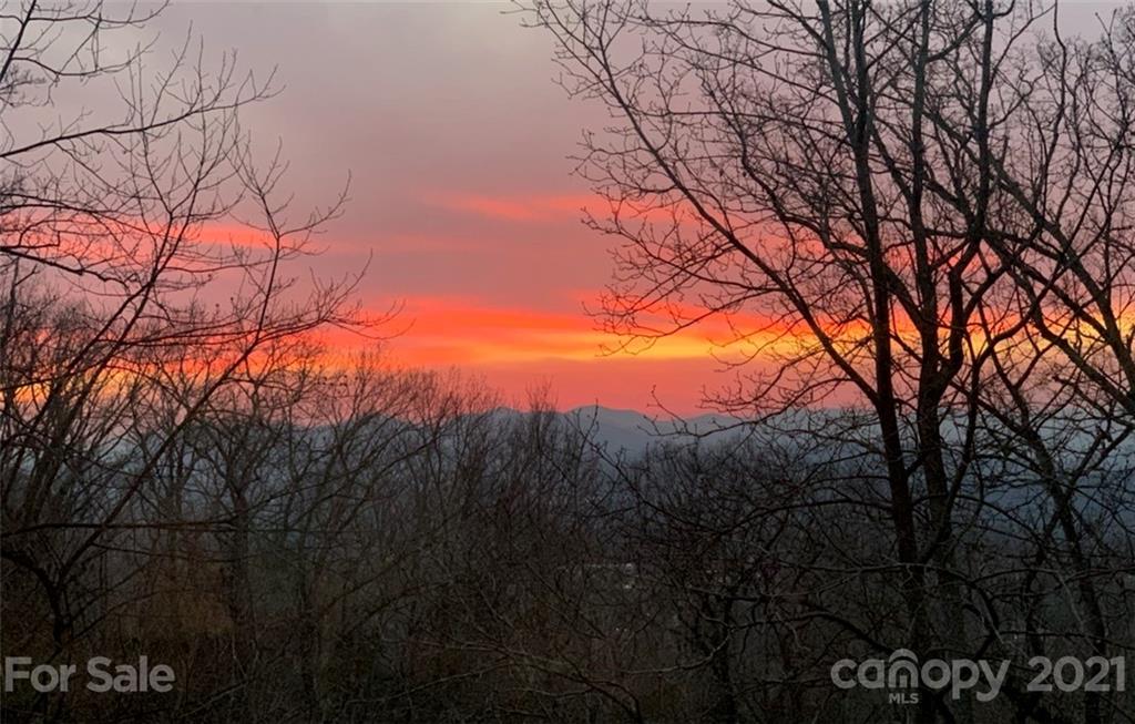 162 Cherokee Road Asheville, NC 28804 - Photo 3 of 45 Gallery Image 3