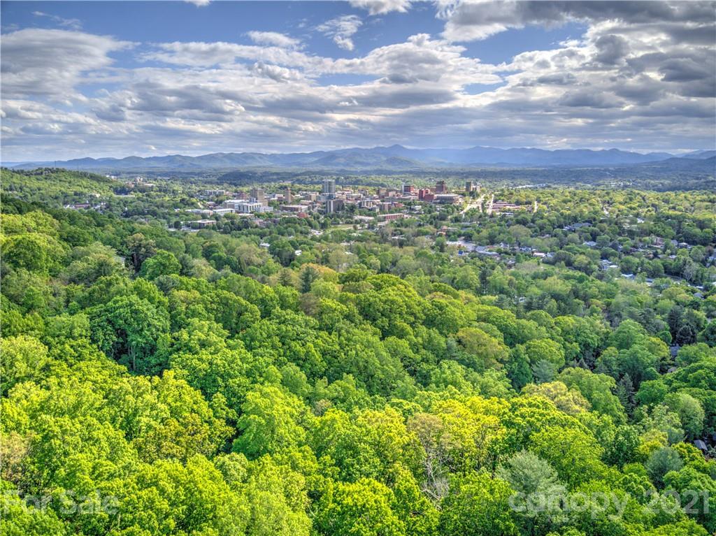 162 Cherokee Road Asheville, NC 28804 - Photo 38 of 45 Gallery Image 38