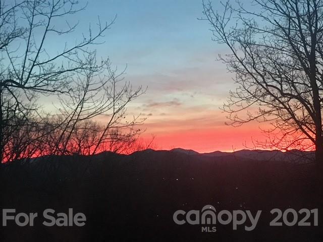162 Cherokee Road Asheville, NC 28804 - Photo 45 of 45 Gallery Image 45