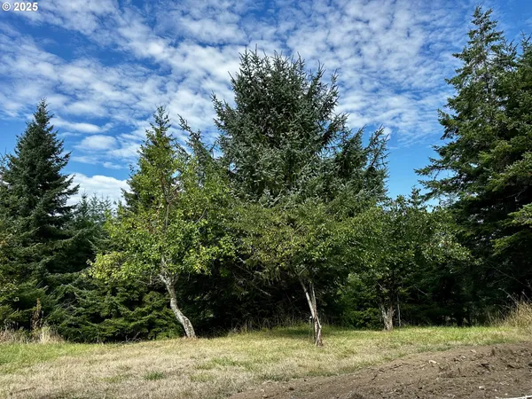 a view of outdoor space