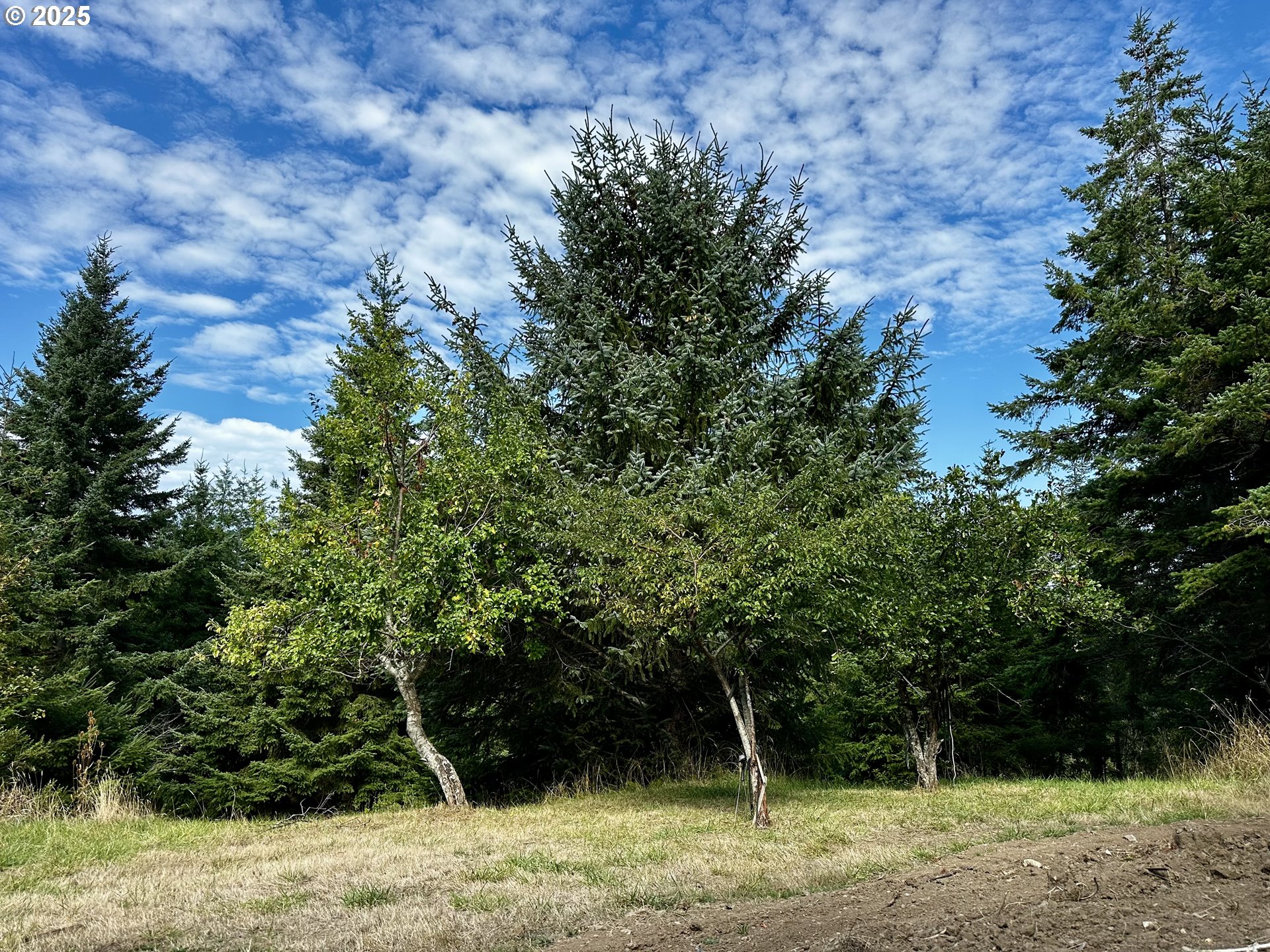 94515 Langlois Mountain Road Langlois, OR 97450 - Photo 5 of 8 a view of outdoor space