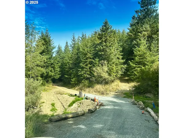 a view of a yard in a yard