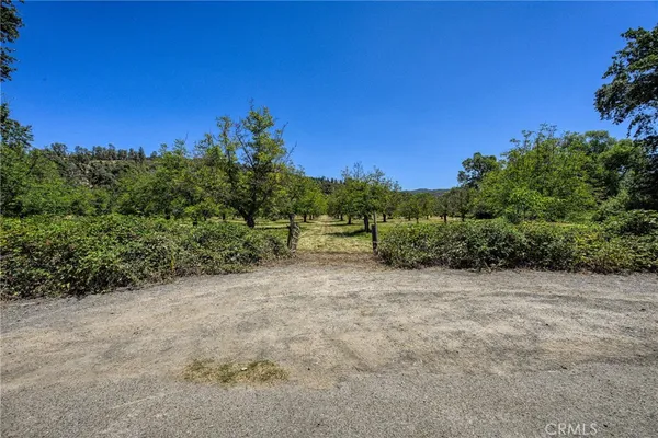 a view of a big yard with trees