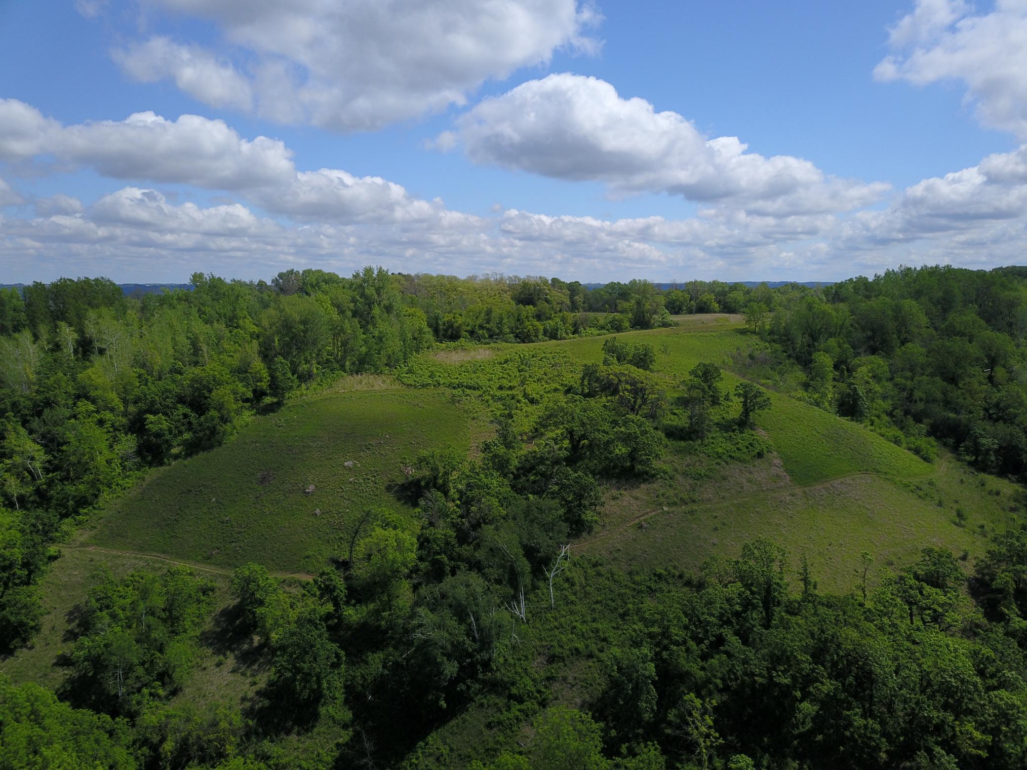 1547 Bush Street Red Wing, MN 55066 - Photo 4 of 6