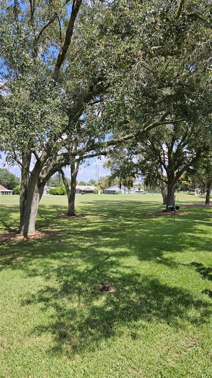 933 Oleander Street Lady Lake, FL 32159 - Photo 4 of 30