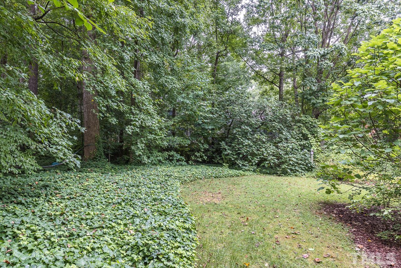 7309 Glendower Road Raleigh, NC 27613 - Photo 14 of 19 a view of a green field with lots of bushes
