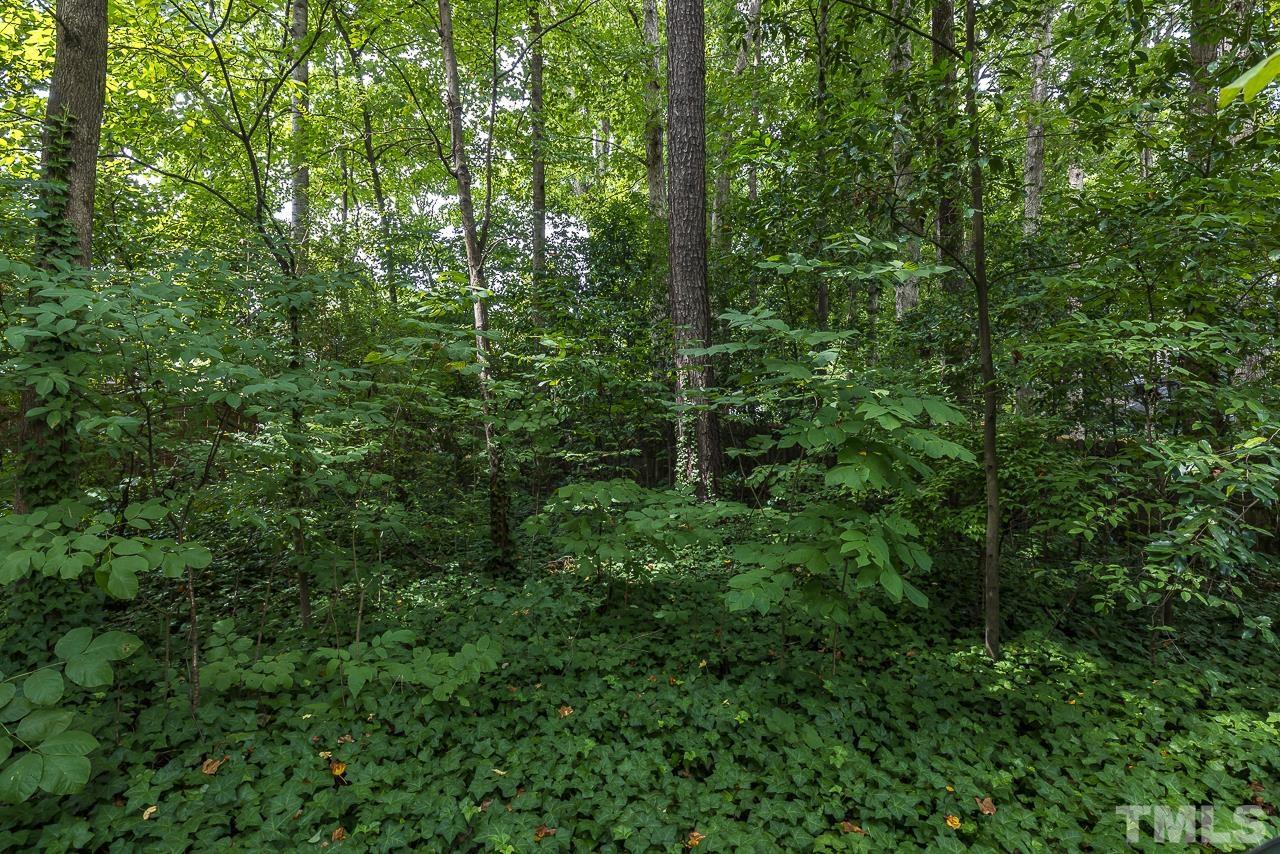 7309 Glendower Road Raleigh, NC 27613 - Photo 16 of 19 a view of a lush green forest