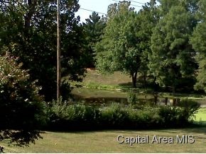 9 Horseshoe Drive Springfield, IL 62702 - Photo 2 of 20 Gallery Image 2