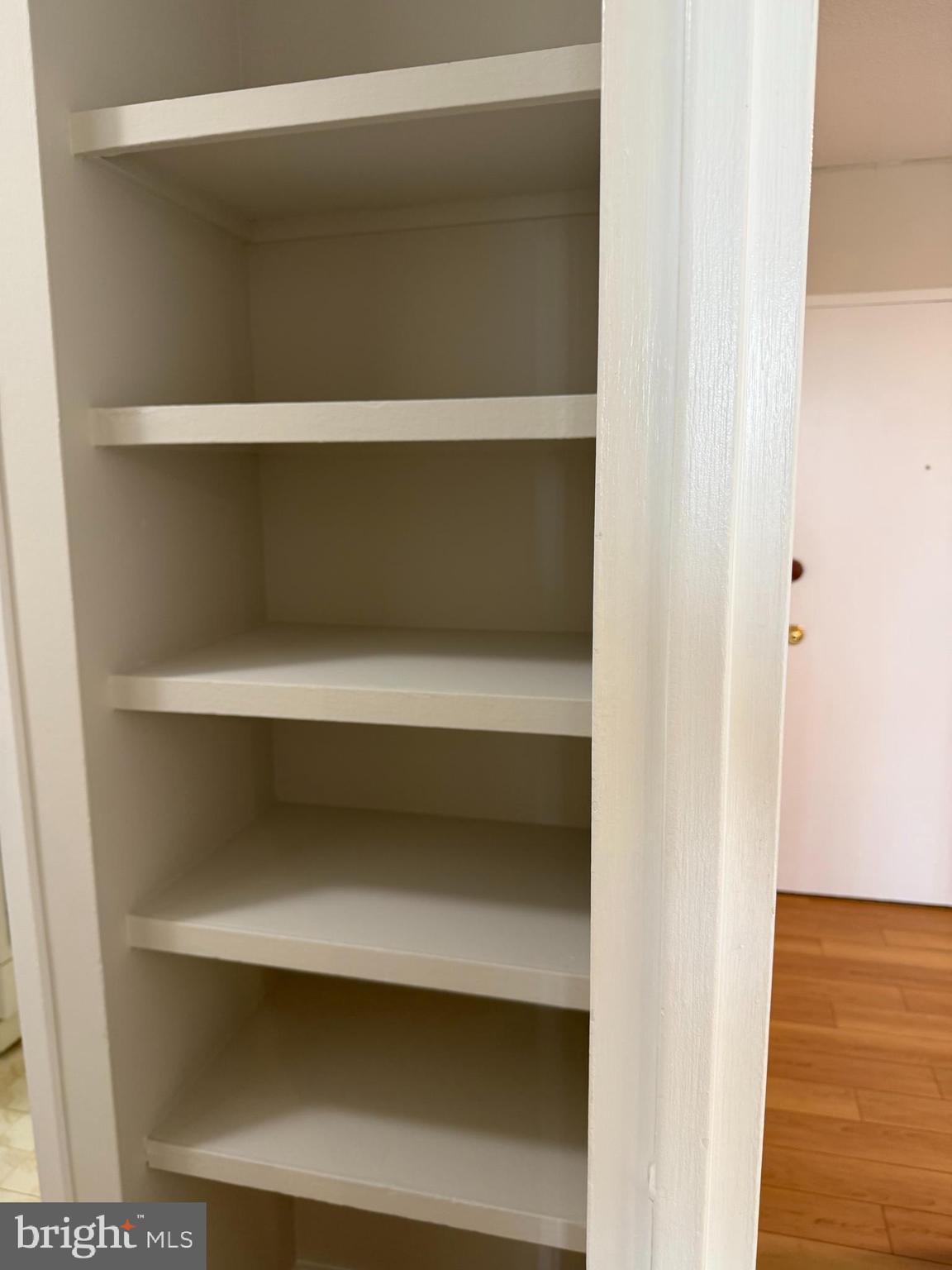 1250 4th Street Southwest, Unit W813 Washington, DC 20024 - Photo 25 of 34 linen closet