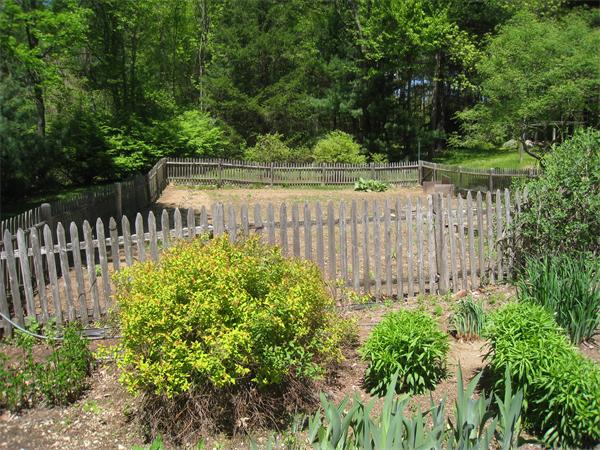 207 Cordaville Road Ashland, MA 01721 - Photo 2 of 29 a view of a yard with plants and wooden fence