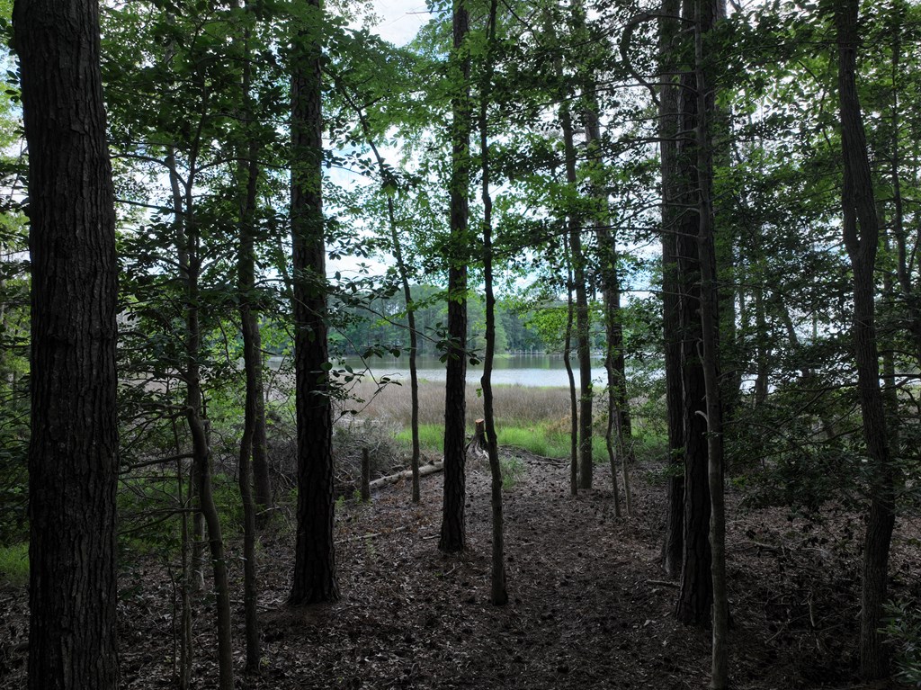 Lot 1 Mt Nebo Road, Unit 1 Onancock, VA 23417 - Photo 16 of 19