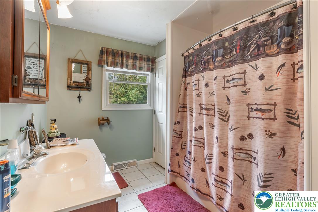 390 Long Lane Road Walnutport, PA 18088 - Photo 24 of 56 a bathroom with a sink and a mirror