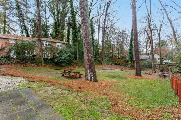 a view of a park with large trees