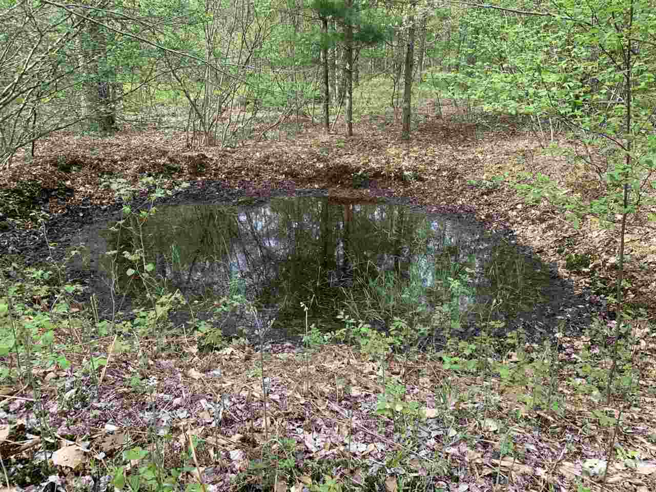 40 South 17 Road Boon, MI 49618 - Photo 24 of 33