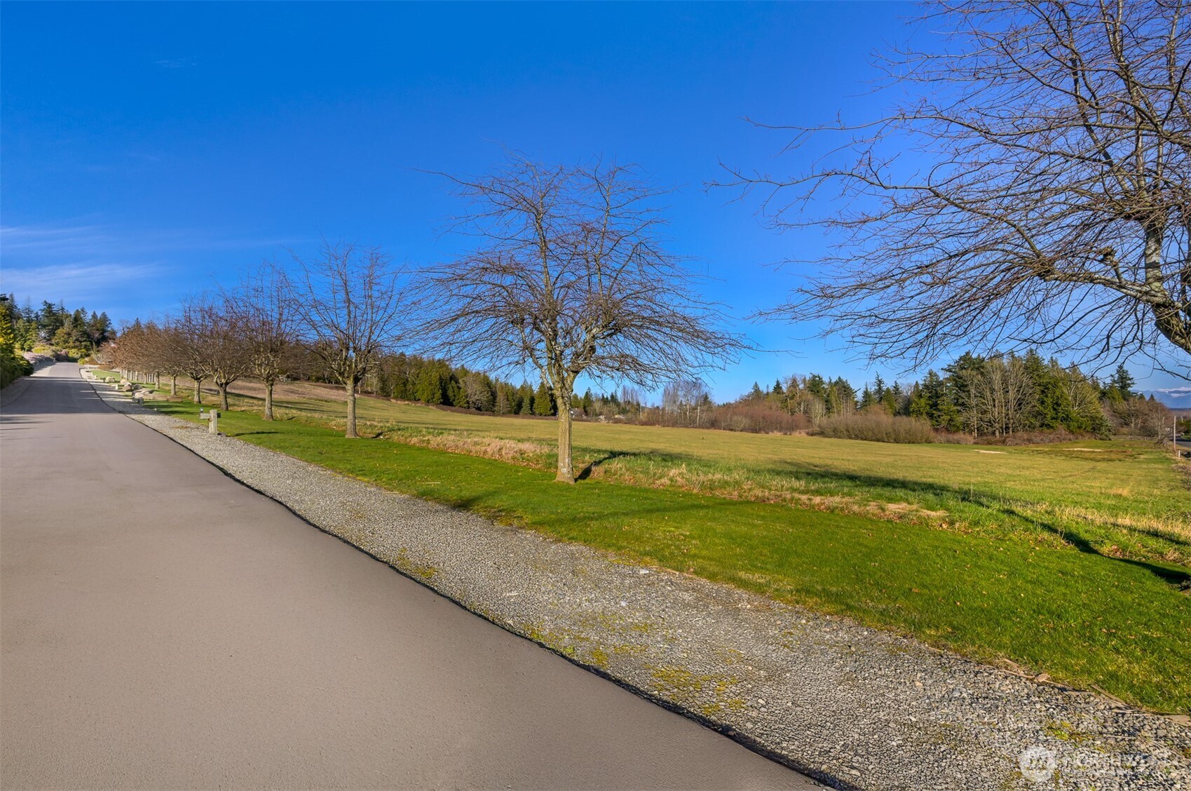 2630-2638 Douglas Road Ferndale, WA 98248 - Photo 12 of 25