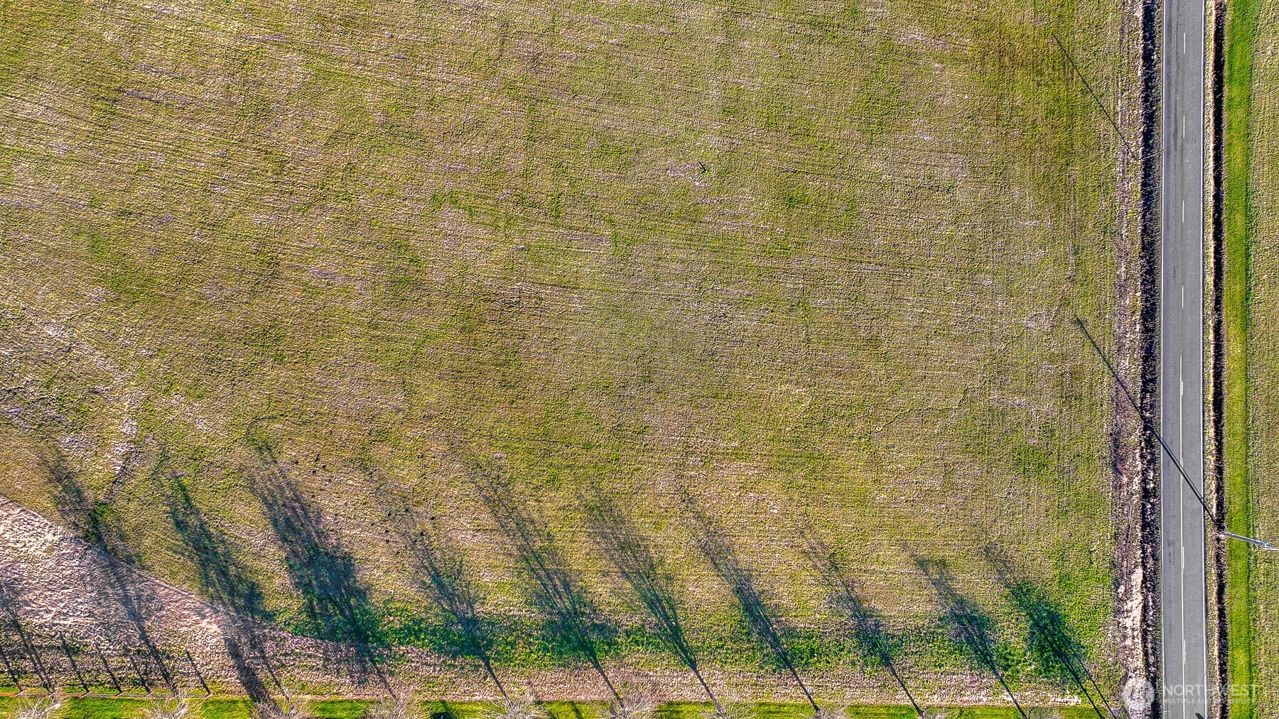 2630-2638 Douglas Road Ferndale, WA 98248 - Photo 18 of 25