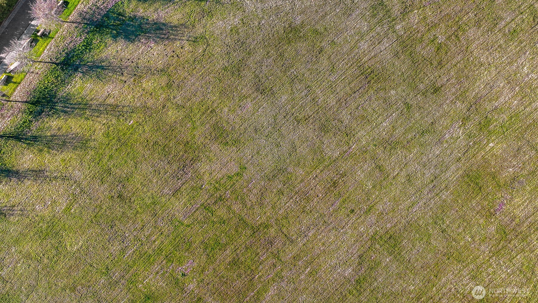 2630-2638 Douglas Road Ferndale, WA 98248 - Photo 20 of 25