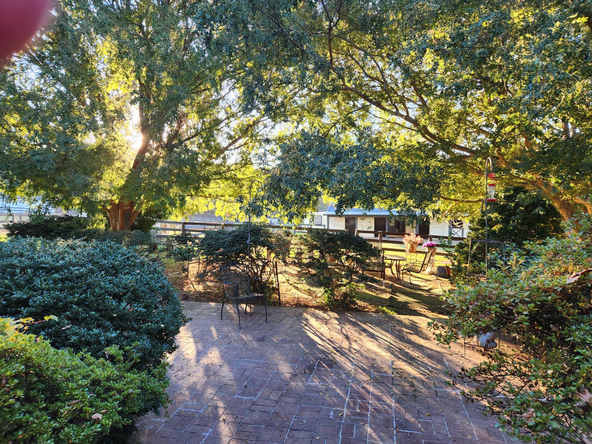 19255 Telegraph Springs Road Purcellville, VA 20132 - Photo 6 of 107 Imagine, sunrise every morning, views of horses!