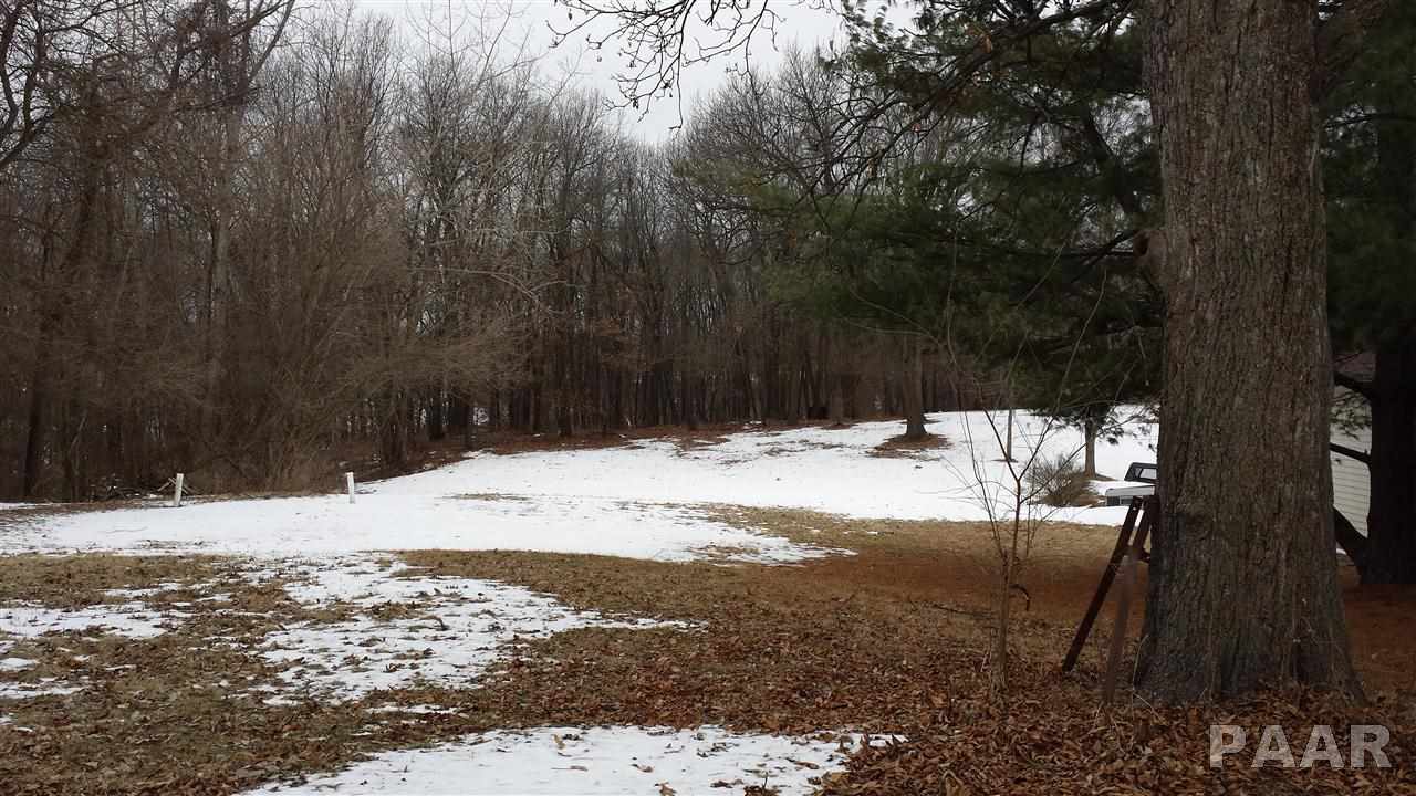 1013 South Maxwell Road Peoria, IL 61607 - Photo 14 of 16