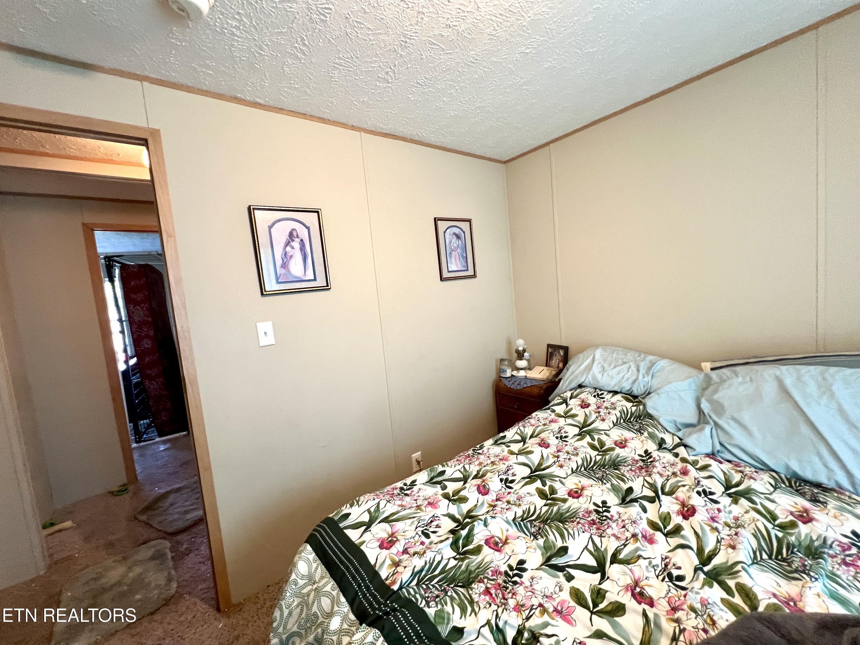 1228 Evans Valley Road Newport, TN 37821 - Photo 8 of 30 20260701_215841981_iOS