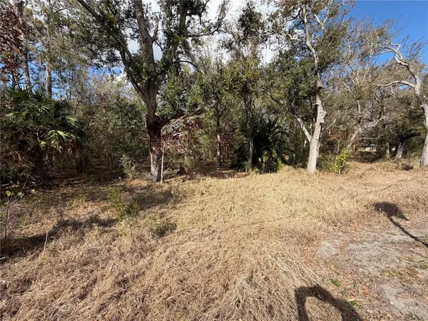 a view of a yard with trees