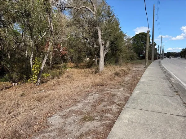 a view of a yard with trees