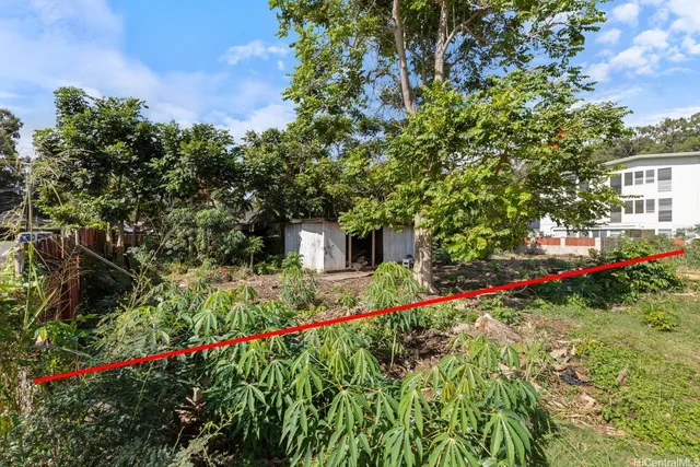 a view of a garden with flowers and plants