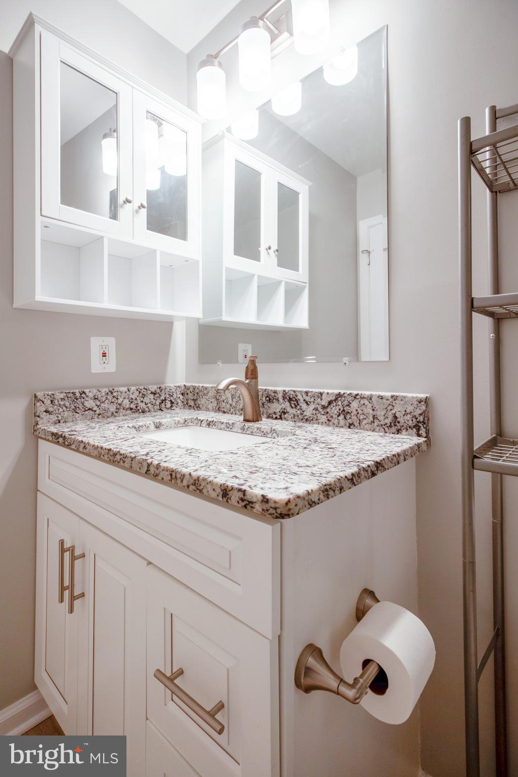 9120 Sweet Spice Court Springfield, VA 22152 - Photo 25 of 48 Primary Bathroom