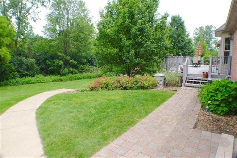 7538 Marshall Road Dexter, MI 48130 - Photo 21 of 24 Peacefull Wooded Back yard