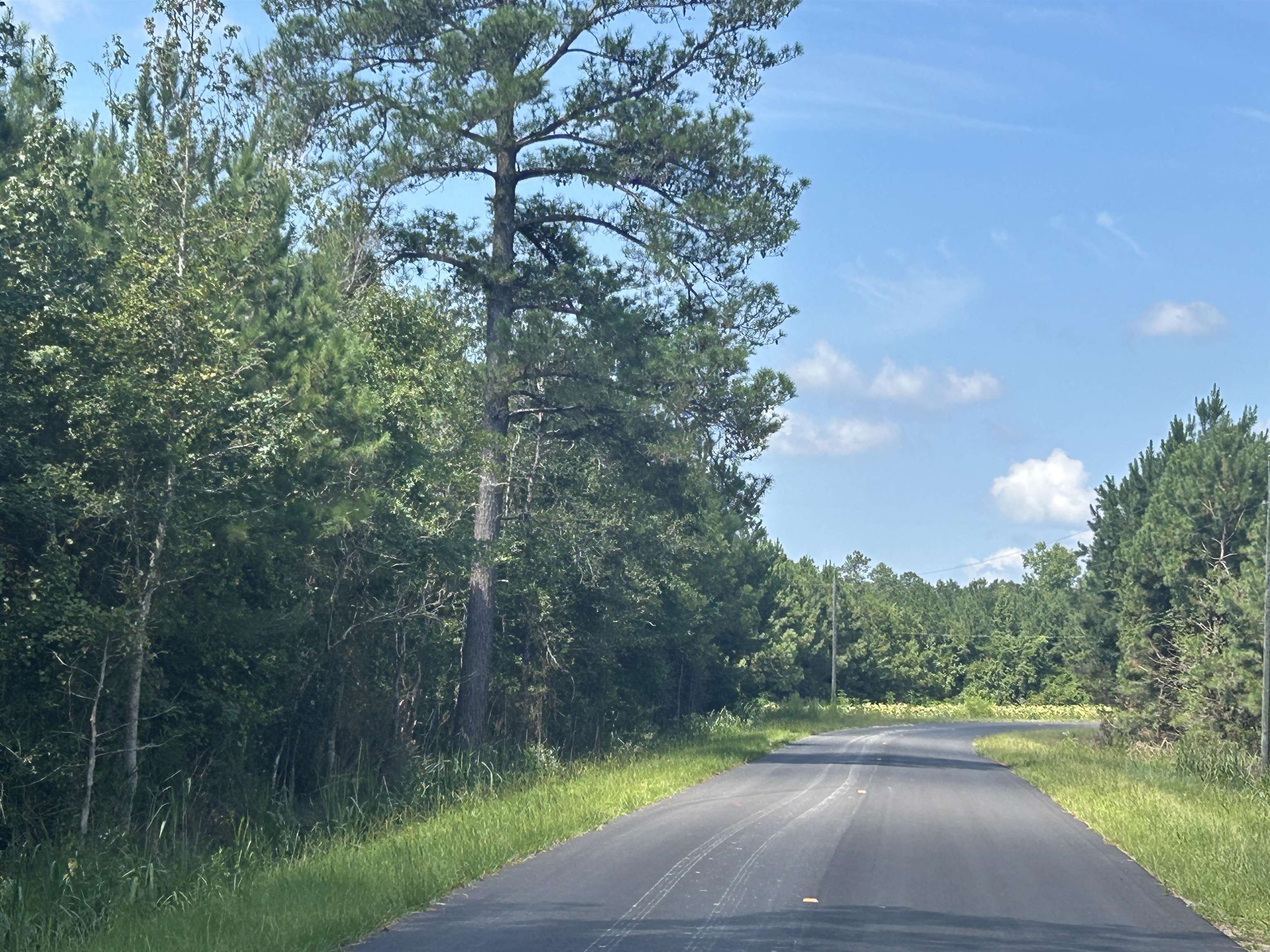 Tbd Pearlie Road Hamer, SC 29547 - Photo 23 of 29 Gallery Image 23