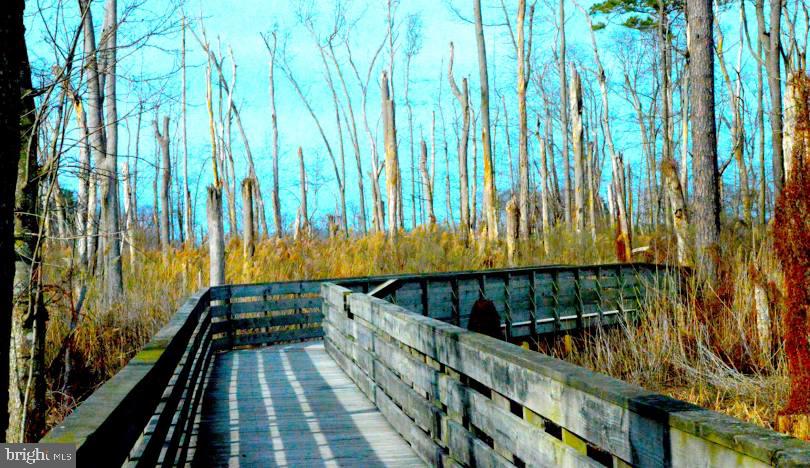 214 Ridge Road Milton, DE 19968 - Photo 18 of 19