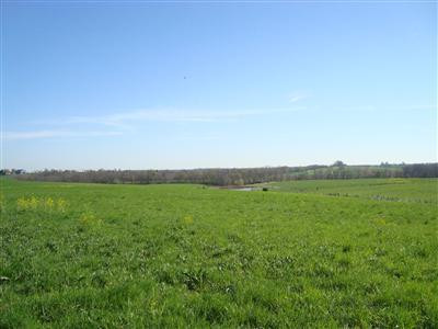 375 Stoney Point Road Paris, KY 40361 - Photo 1 of 25 Photo 1