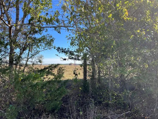 $1,800 | 2053 Farm To Market 1291 New Ulm Tx 78950, New Ulm, TX 78950