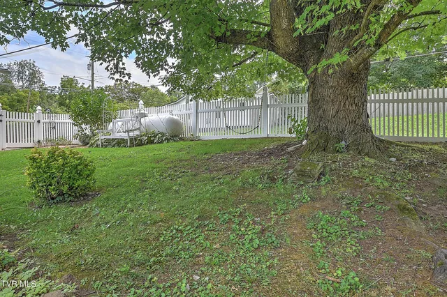 $225,000 | 1462 Georgia Avenue, Bristol, TN 37620