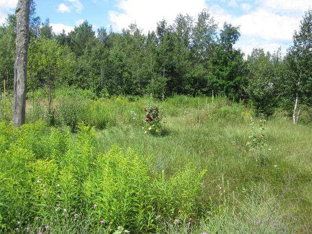 7921 East Birch Lake Road Presque Isle, WI 54557 - Photo 13 of 13 Gallery Image 13