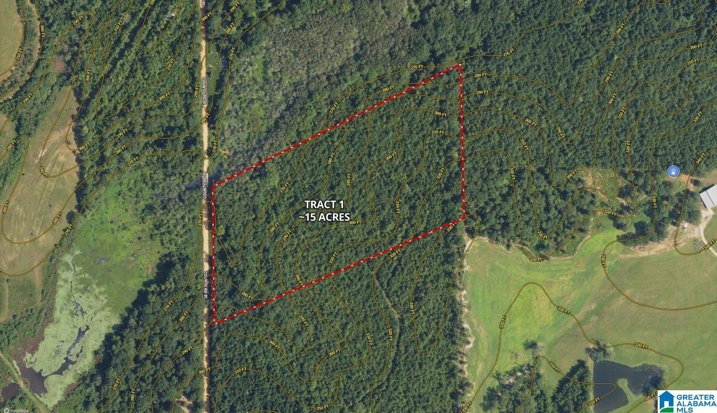 0 County Road 81, Unit 1 Tuskegee, AL 36083 - Photo 10 of 13