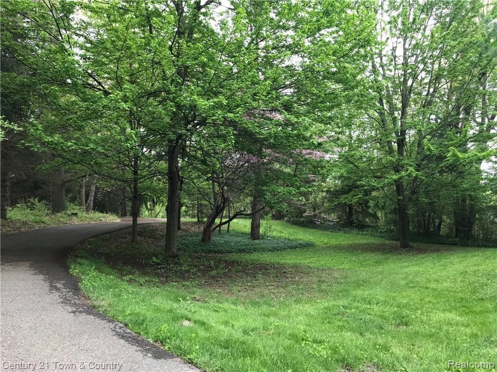 299 North Baldwin Road Oxford, MI 48371 - Photo 29 of 33 FRONT YARD VIEW FACING ROAD TO SHOW PRIVACY