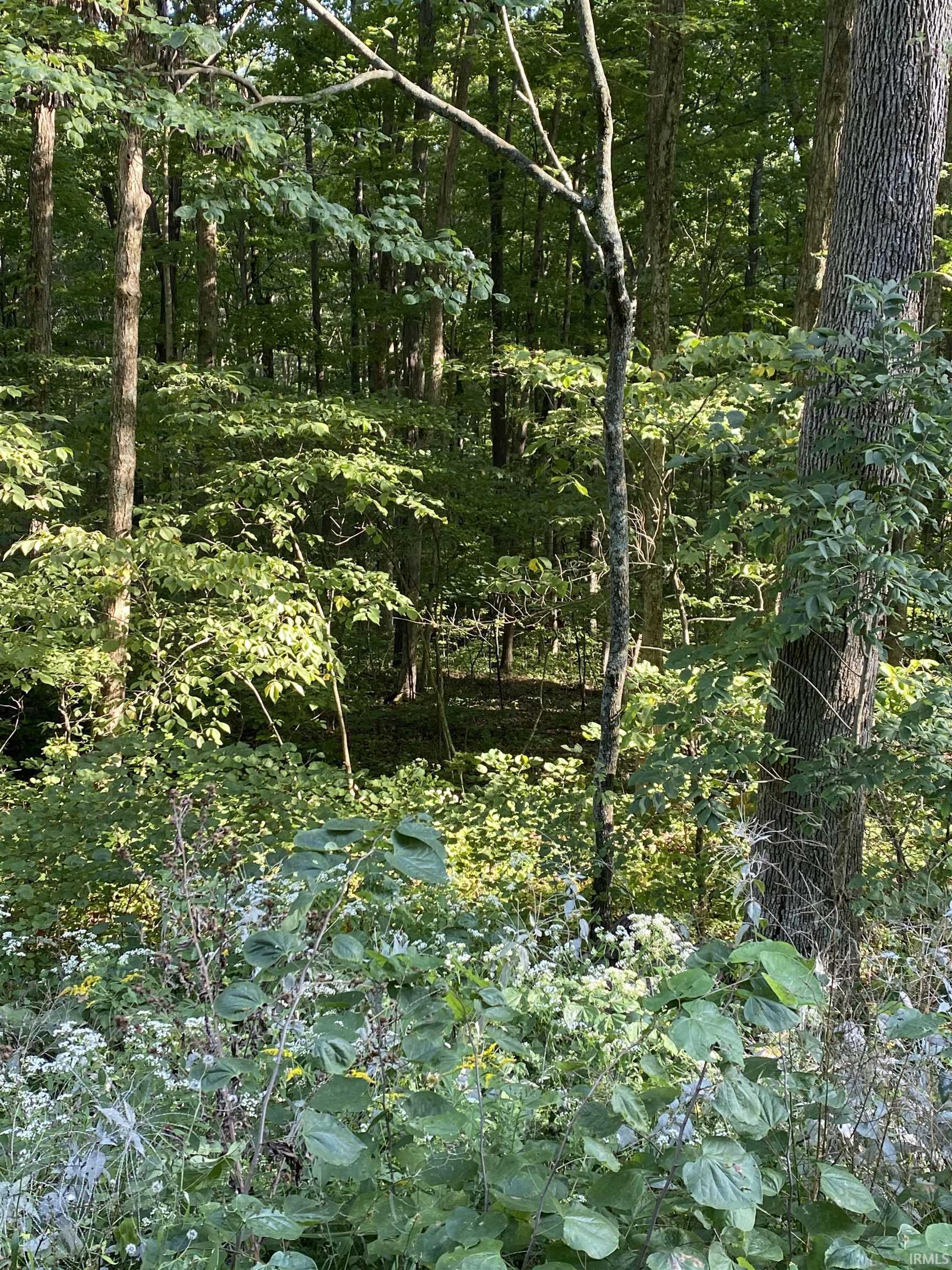 Patricksburg Road Spencer, IN 47460 - Photo 2 of 4